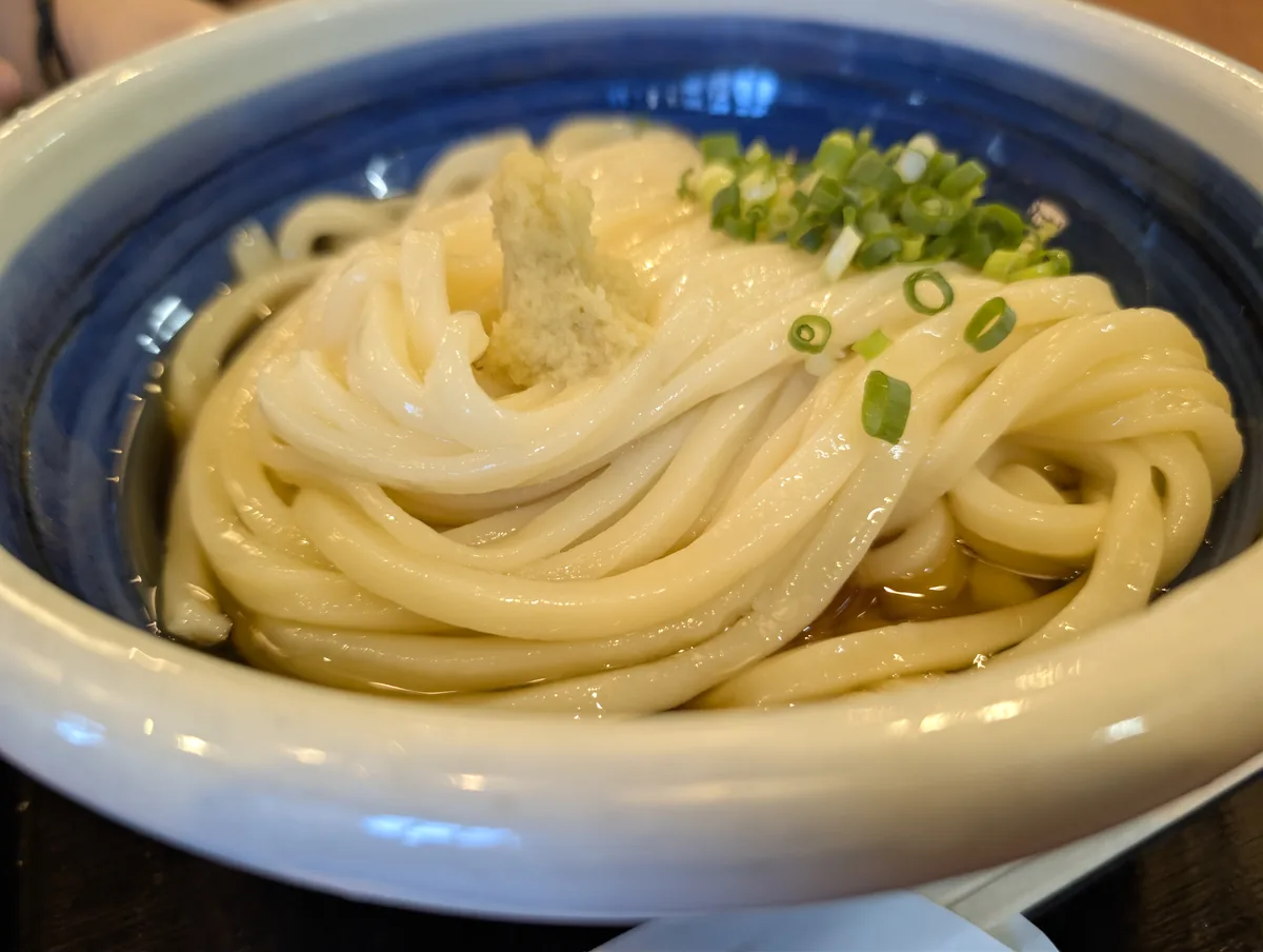本格手打もり家 高松本店で食べたぶっかけうどん