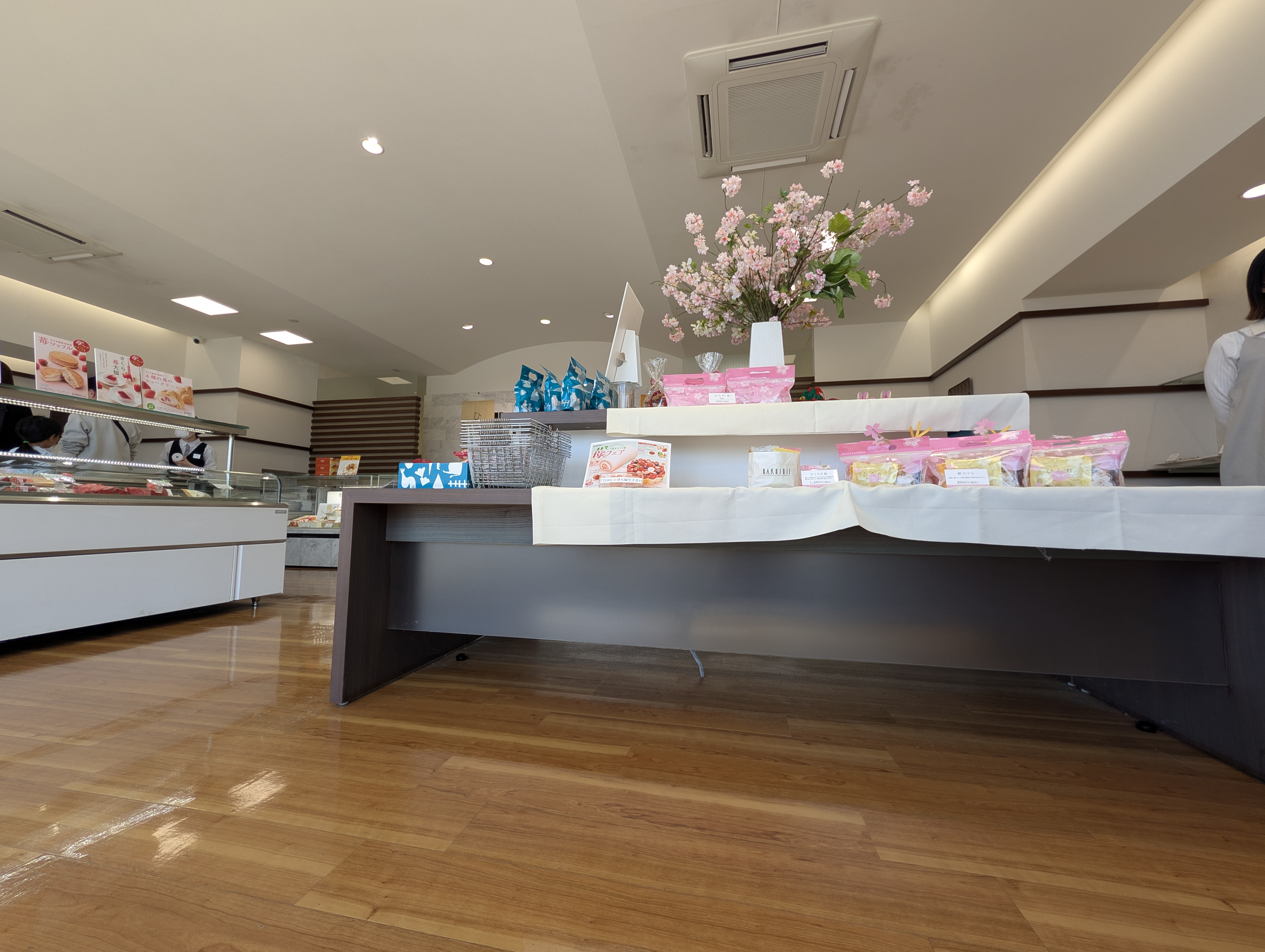 店内の低アングルから見た桜