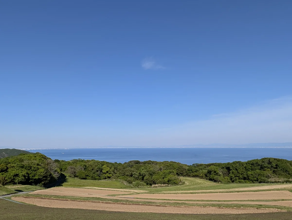 花さじきから見える緑と海のパノラマ